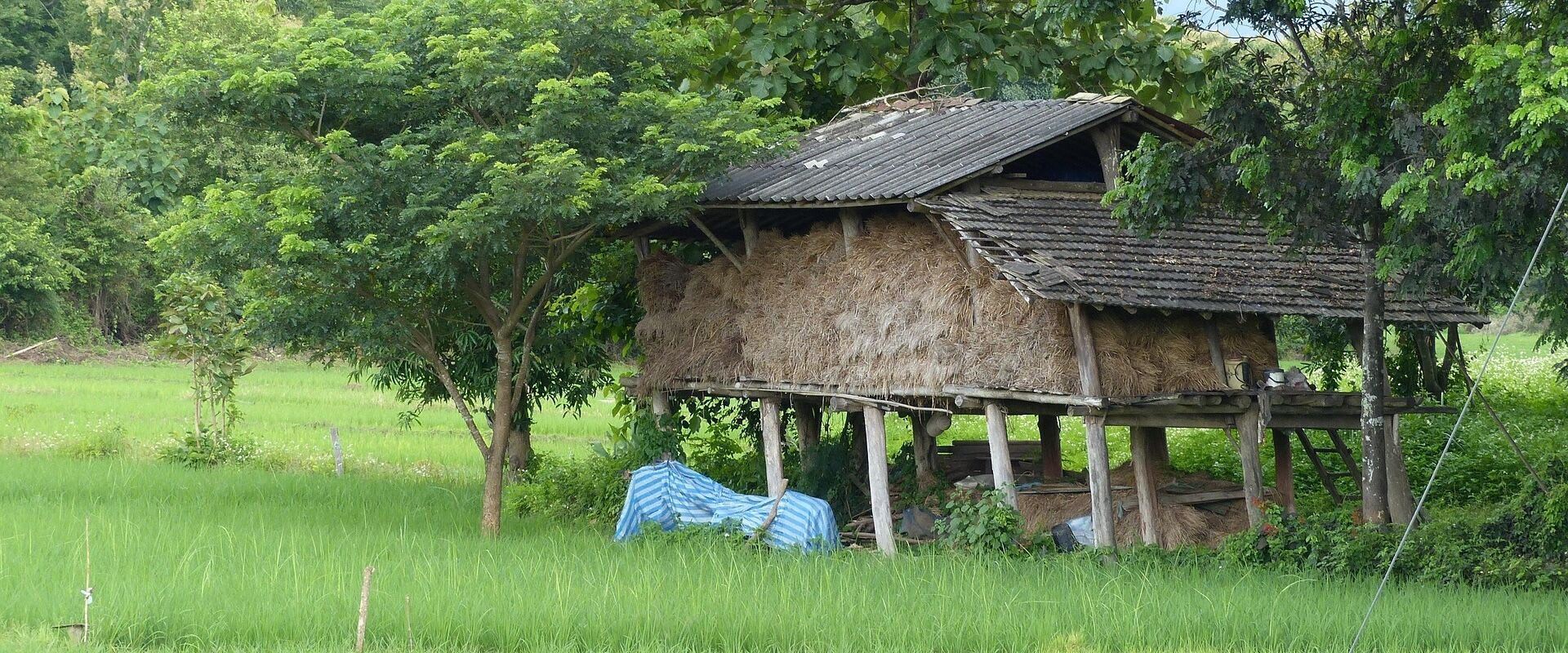 Lush Lampang countryside at dawn for a Lampang Travel banner by Legend Travel Group.